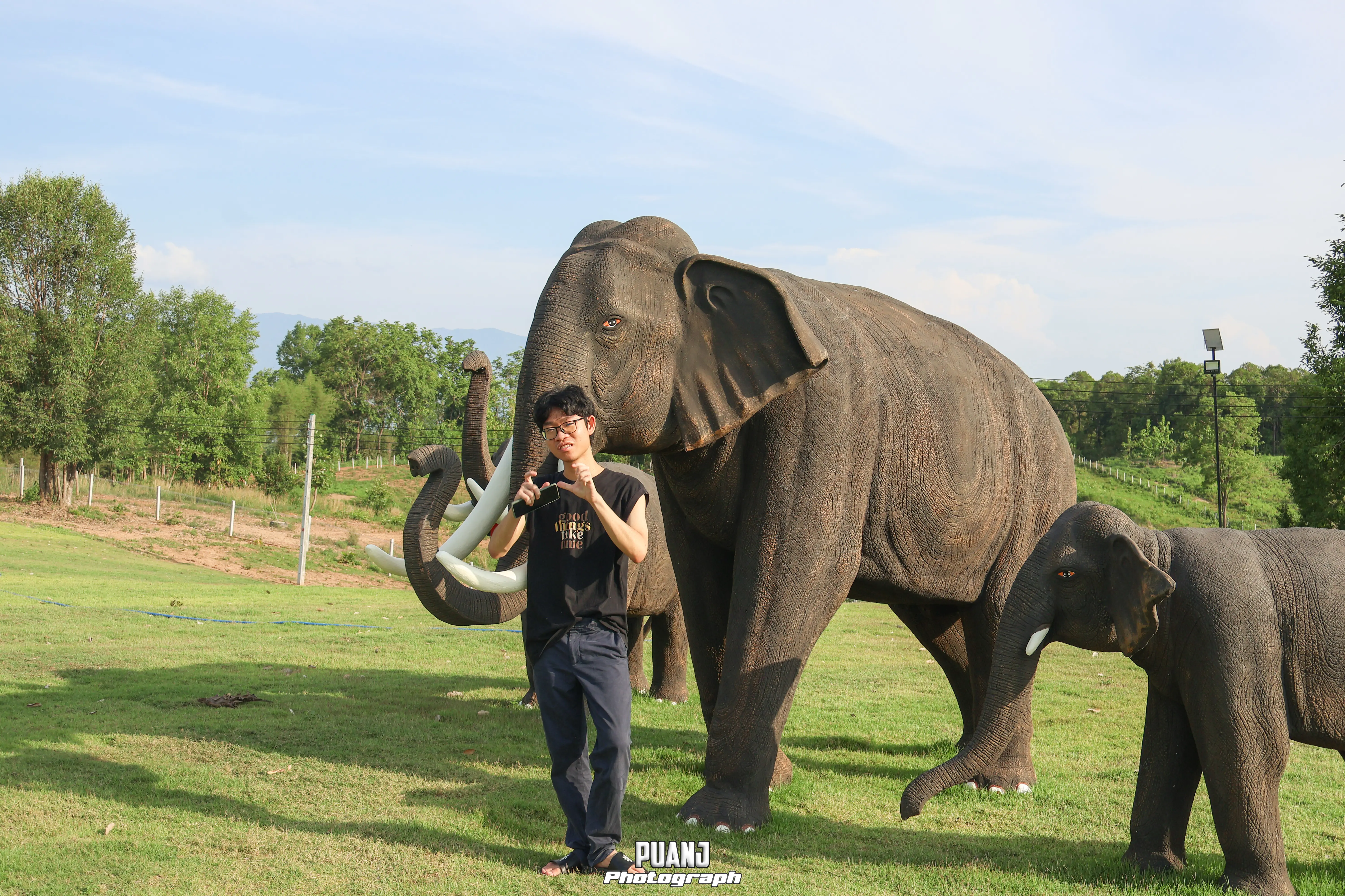 ฟาร์มแกะแดนพนา